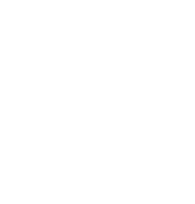 seguro-badge